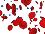 Blutplättchen Grafik
