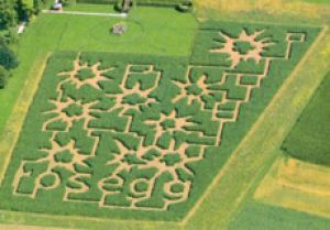 Luftaufnahme des Labyrinths von Schloss Rosegg