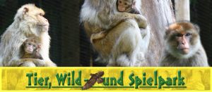 Logo und Sujet des Tierpark Preding