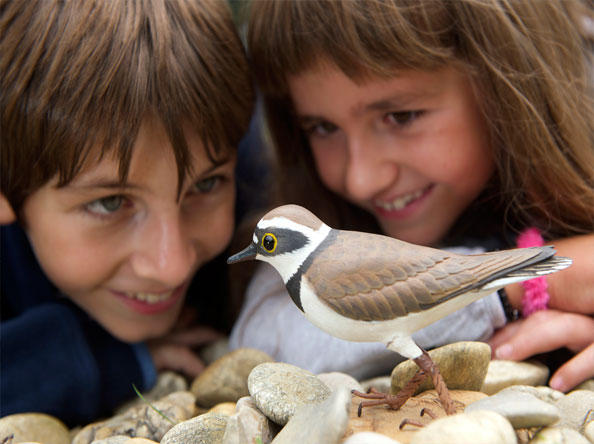 Zwei Kinder beobachten einen Vogel