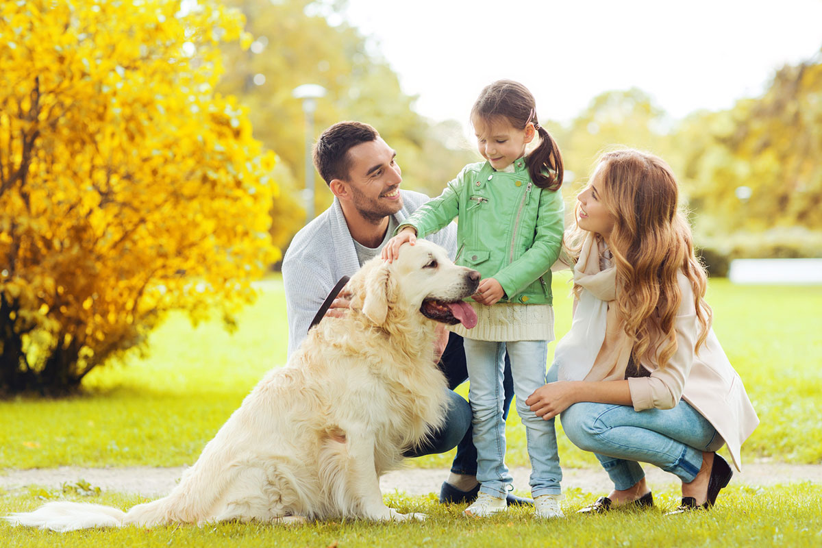 Familie - Vater, Mutter, Kind und Hund
